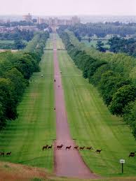 Windsor Great Park-Perfect Venue for Party